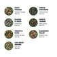 Tiesta Tea Green Tea Sampler - 7 Loose Leaf Pouches, Medium Caffeine, 10 Cups Each, Model 800020
