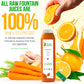 Raw Fountain 1 Day Juice Cleanse, Tropical Flavors, All Natural Raw, Cold Pressed Fruit And Vegetable Juices, Detox Cleanse, 6 B