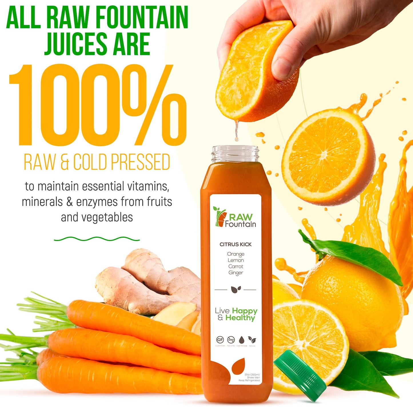 Raw Fountain 1 Day Juice Cleanse, Tropical Flavors, All Natural Raw, Cold Pressed Fruit And Vegetable Juices, Detox Cleanse, 6 B