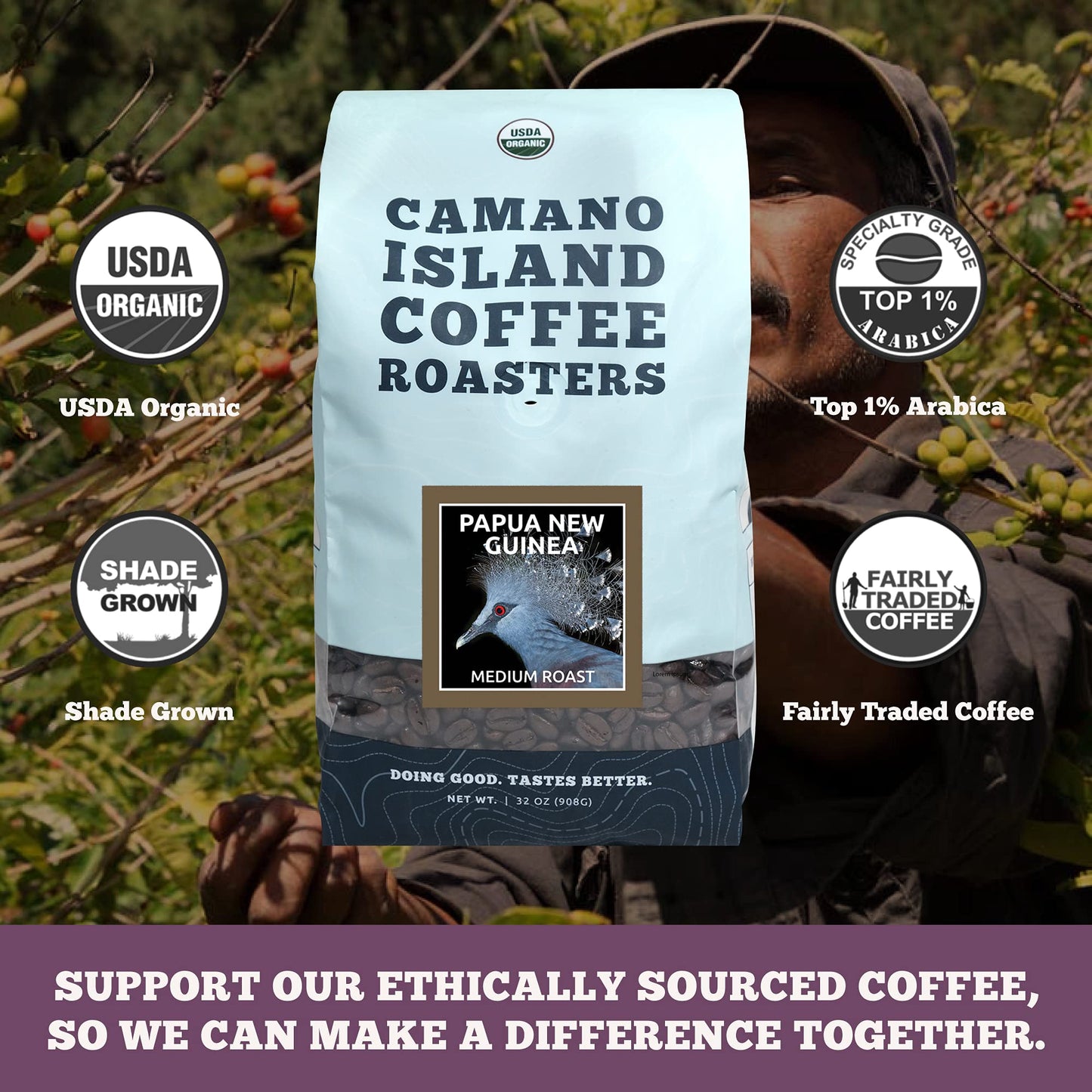 Camano Island Coffee Roasters Papua New Guinea Whole Bean 2Lb, Fresh Medium Roast, Usda Organic, Fairly Traded, Shade Grown Top
