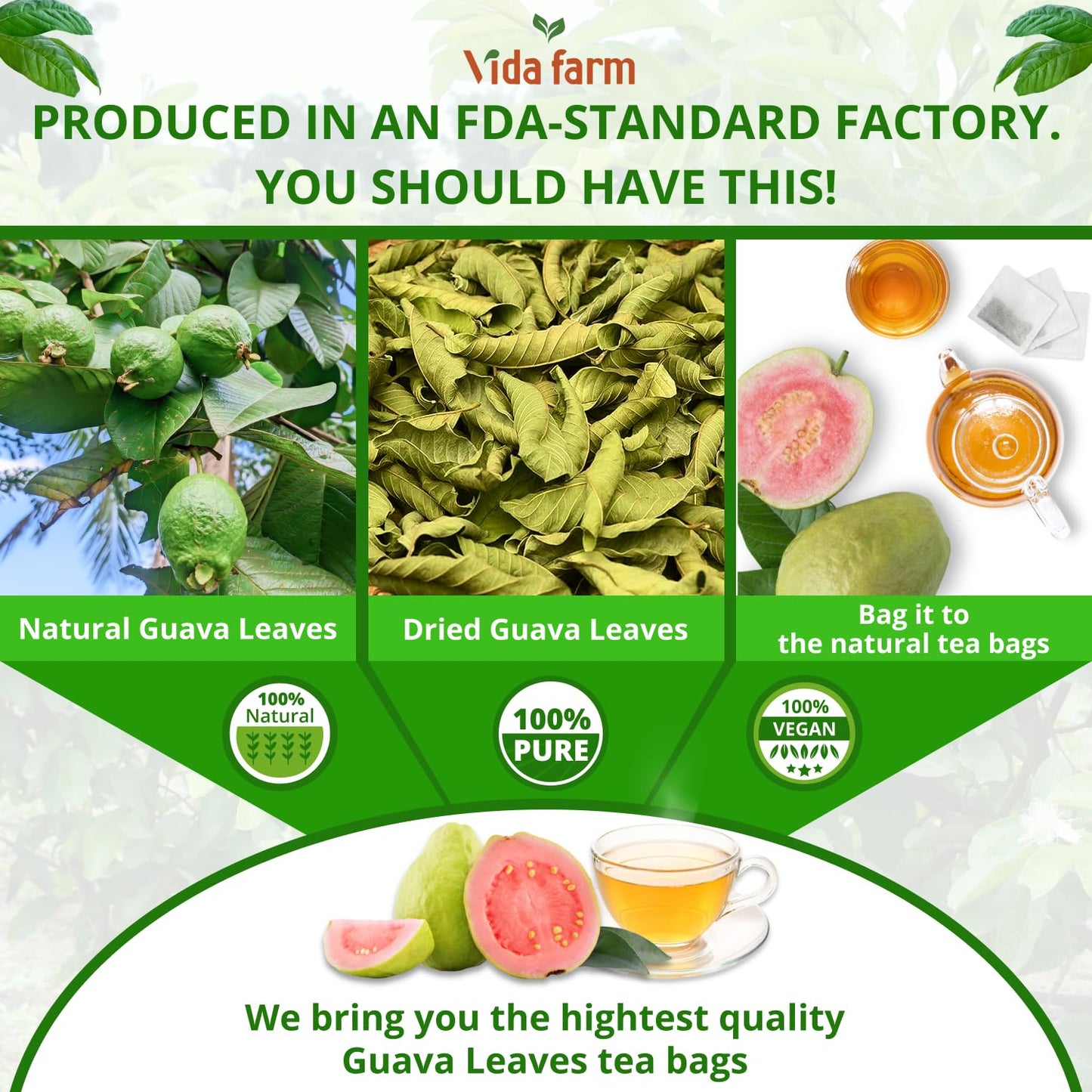 VIDA FARM Guava Leaf Tea Bags, 100% Pure & Natural, Zero Sugar, Non-GMO, Caffeine-Free, Vegan, 125 Count