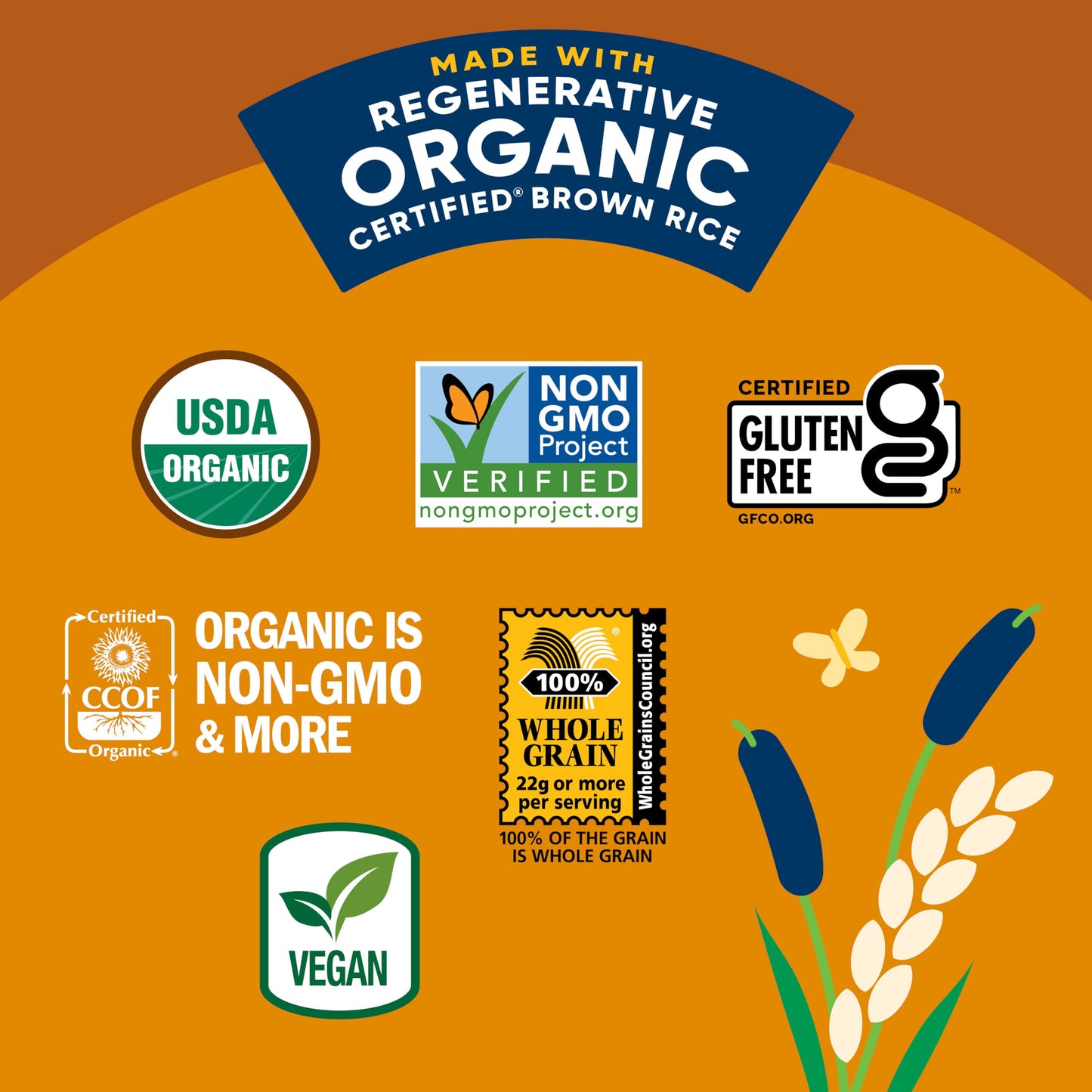 Lundberg Organic Rice Cake Minis, Cheddar, 6-Pack - Regenerative Organic Certified Mini Rice Cakes, Healthy Snacks, Gluten-Free,