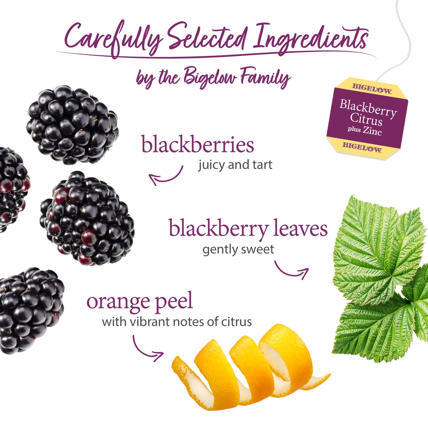 Bigelow Tea Blackberry Citrus Plus Zinc Herbal Tea, Caffeine Free, 18 Count Box (Pack of 6), Natural, Model 01028