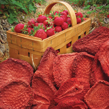 Brothers All Natural Freeze Dried Fruit Crisps, Strawberry, 1 Oz (Pack Of 1), Made With 100% Fruit, Gluten Free, Soy Free, Vegan