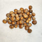 Generic Roasted Hazelnuts in Shell - 4 Lbs - Grown in Family Orchard, Washington State