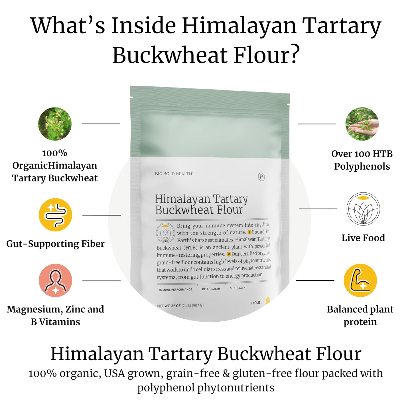 BIG BOLD HEALTH Himalayan Tartary Buckwheat Organic Gluten Free Flour | 100+ Immune-Active Nutrients | 100% USDA Organic Grain-F