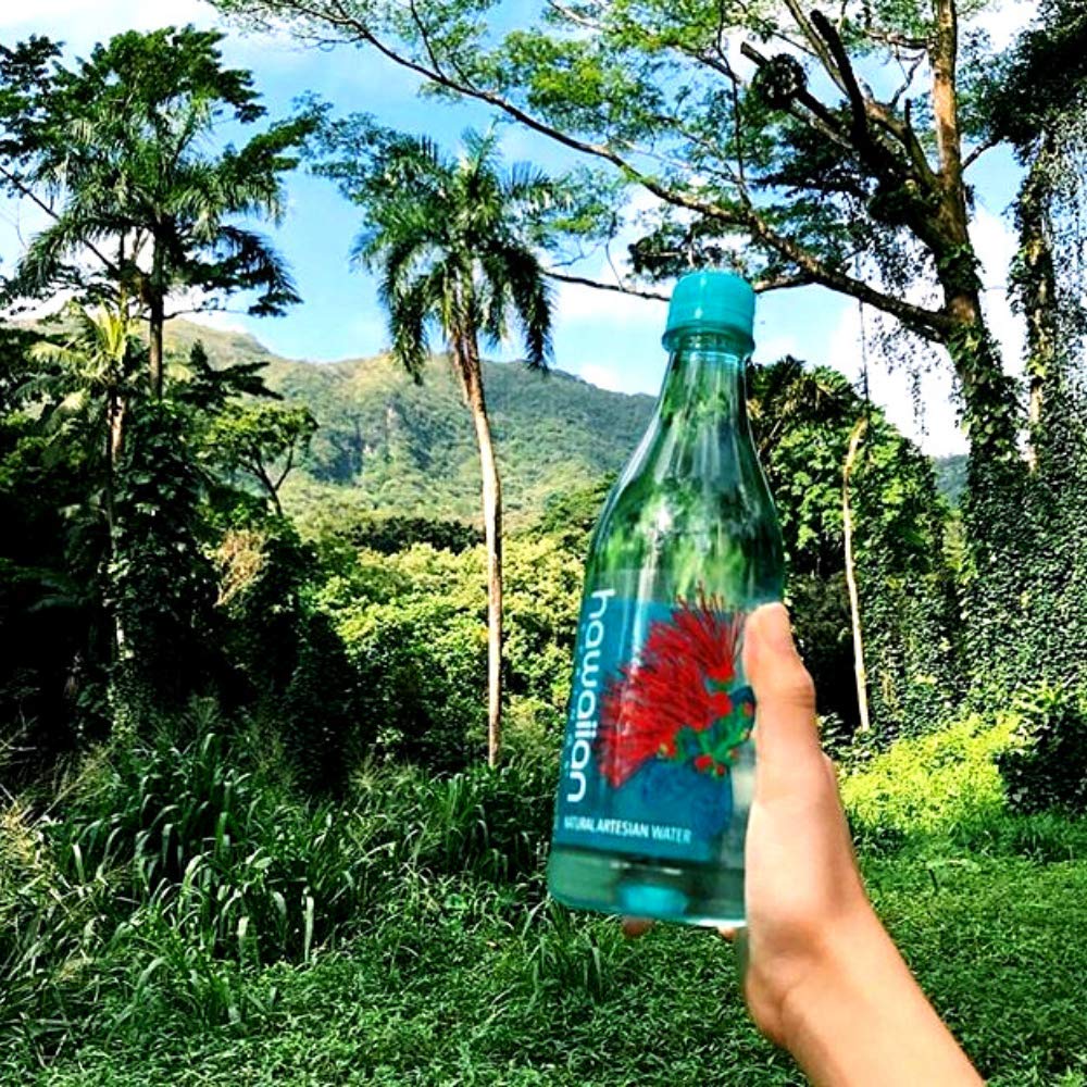 Hawaiian Springs- Natural Artesian Bottled Water | Volcanic Enhanced Alkaline Electrolytes | Sourced On Big Island, Hawaii | 1L