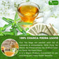TOG999 Chanca Piedra Tea Bags - 100% Natural, 60 Dried Leaves, Vegan, No Sugar, No Caffeine, No Gluten