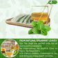 FRESHDRINKUS Spearmint Tea Bags - 100% Natural Herbal Tea, Caffeine-Free, Vegan, 135 Count