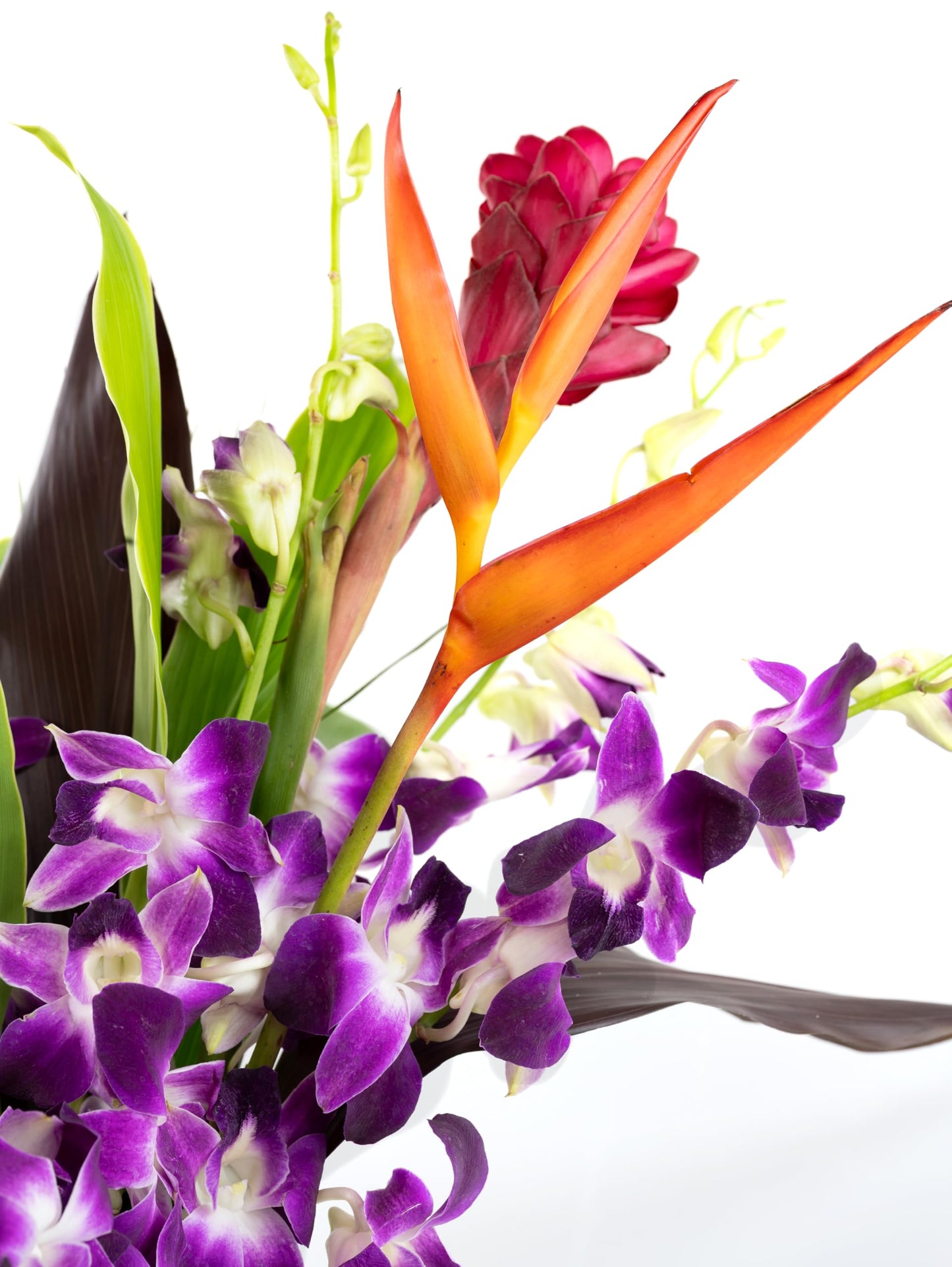 Fresh Orchids And Tropical Flower Bouquet, Purple Orchids, Red Ginger, Heliconia, Mixed Foliage, Hawaiian - Prime Quality - Perf
