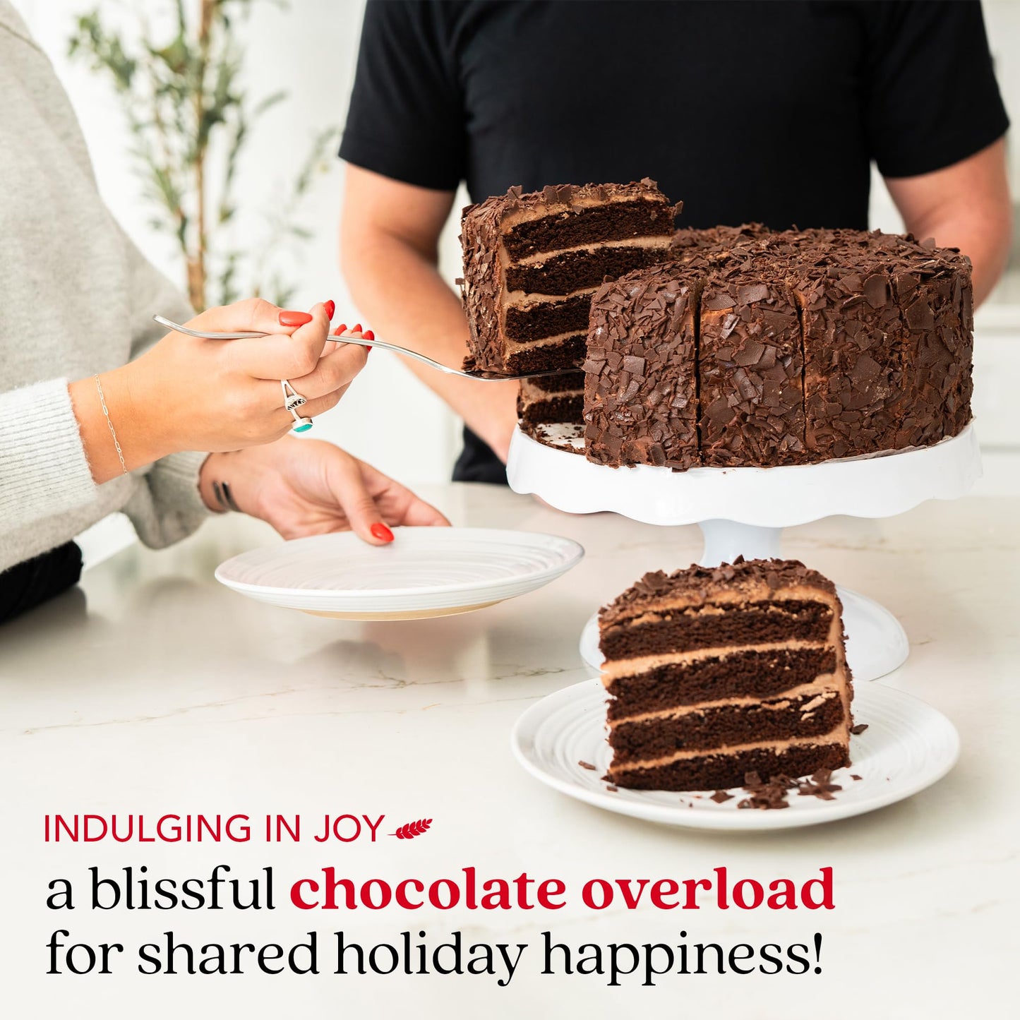 DAVIDS COOKIES 10 Chocolate Overload Layer Cake - Gourmet Delight, 115.2 oz, Ideal for Celebrations and Birthdays