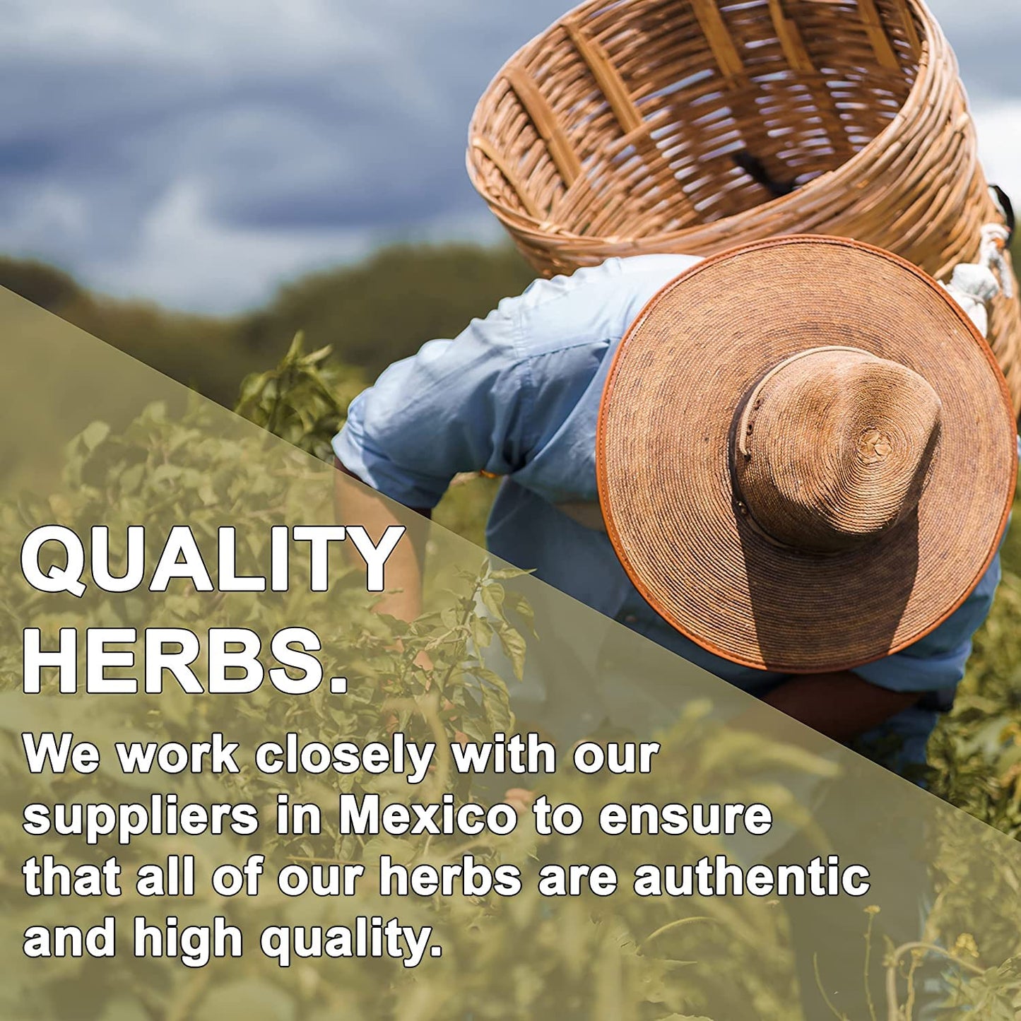 Evergreen Herbs Tumba Vaquero 8oz Resealable Stand Up Pouch - Brown, 1 Count