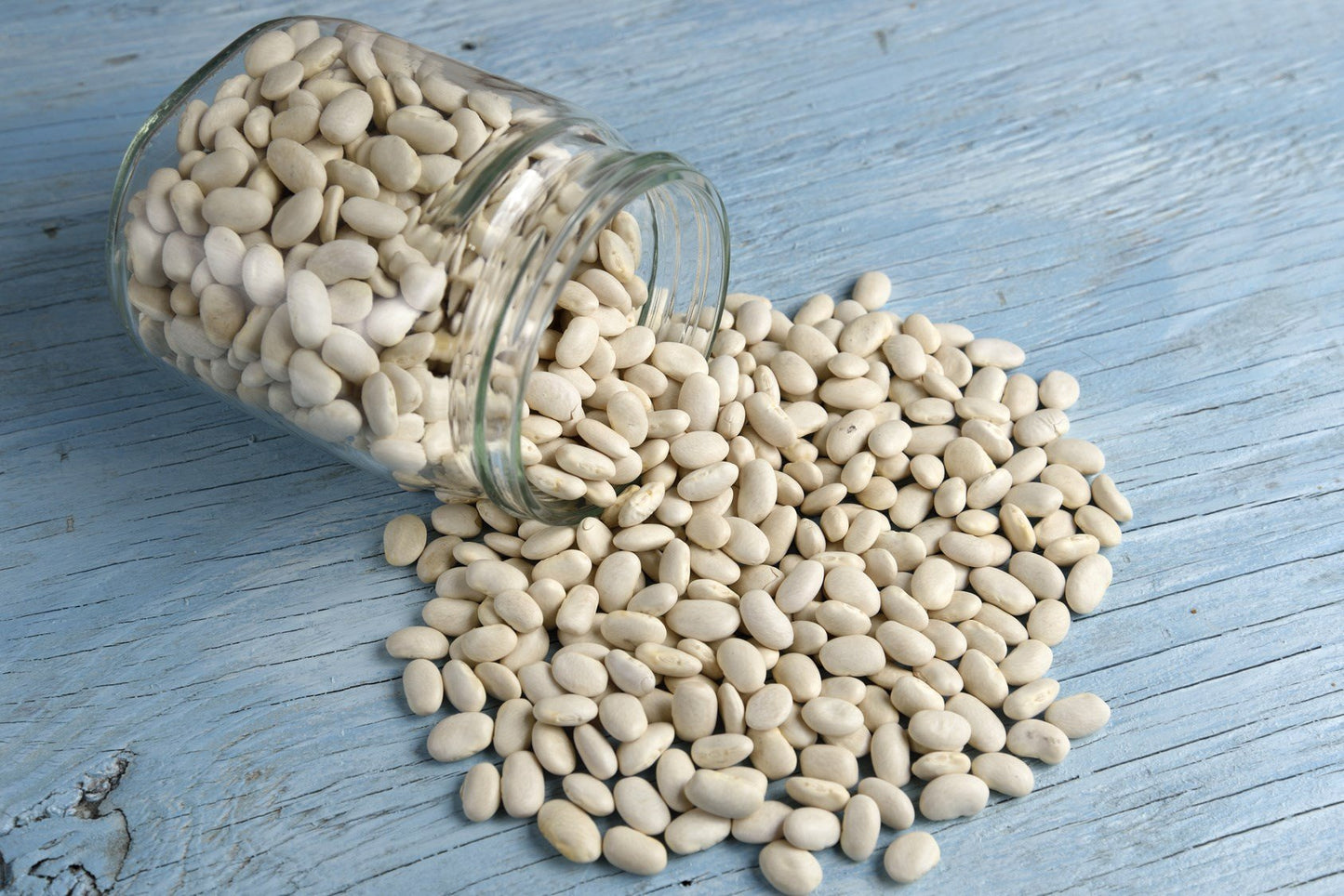 Hunza Organic Great Northern Beans (2 Lbs)