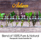 Artizen 30Ml Oils - Helichrysum Essential Oil - 1 Fluid Ounce