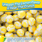 Freeze Dried Lemon Heads (10oz) - Made From Lemonheads Candy By Cryo Crunch- Freeze Dried Lemonheads Made In US Freeze Dried Lem