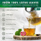 FRESHDRINKUS Premium Lotus Leaf Tea Bags, 100% Natural, Vegan, 30 Count