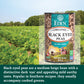 Eden Organic Black Eyed Peas, No Salt Added, 15-Ounce Cans (Pack of 12)