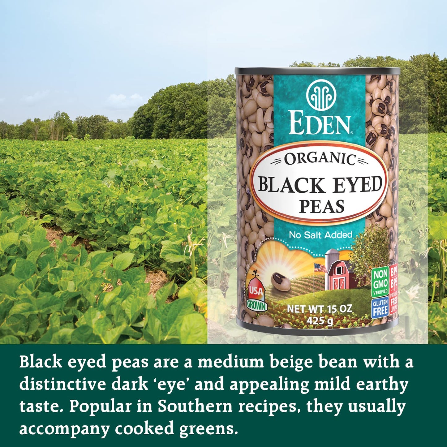Eden Organic Black Eyed Peas, No Salt Added, 15-Ounce Cans (Pack of 12)