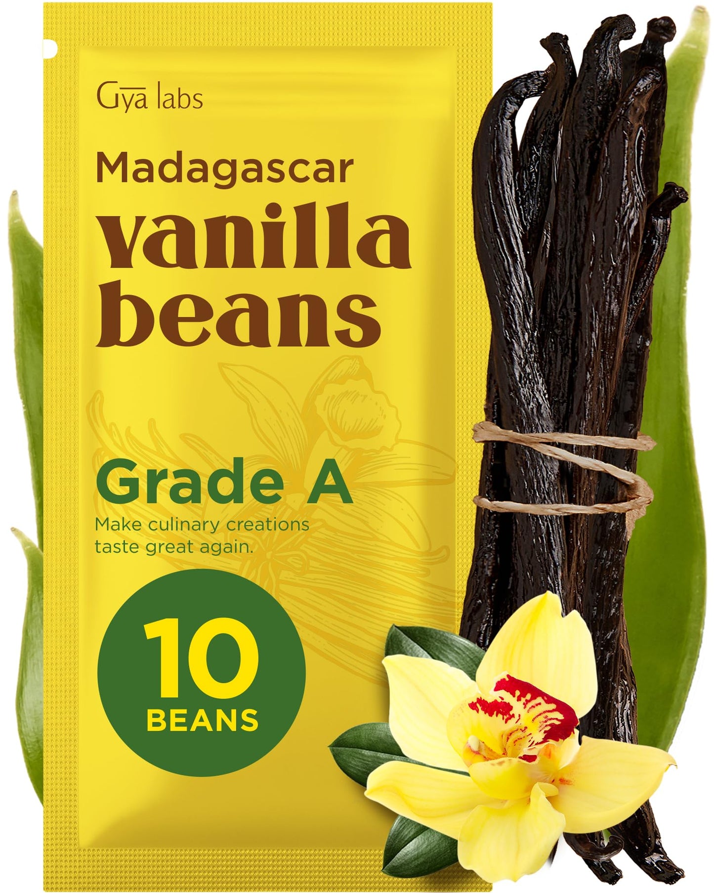 Gya Labs Madagascar Vanilla Beans - Grade A, 5-7 Inches Long, 10 Count Pack