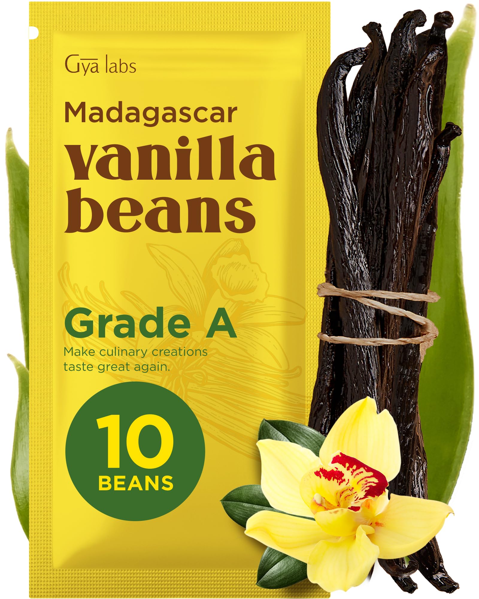 Gya Labs Madagascar Vanilla Beans - Grade A, 5-7 Inches Long, 10 Count Pack