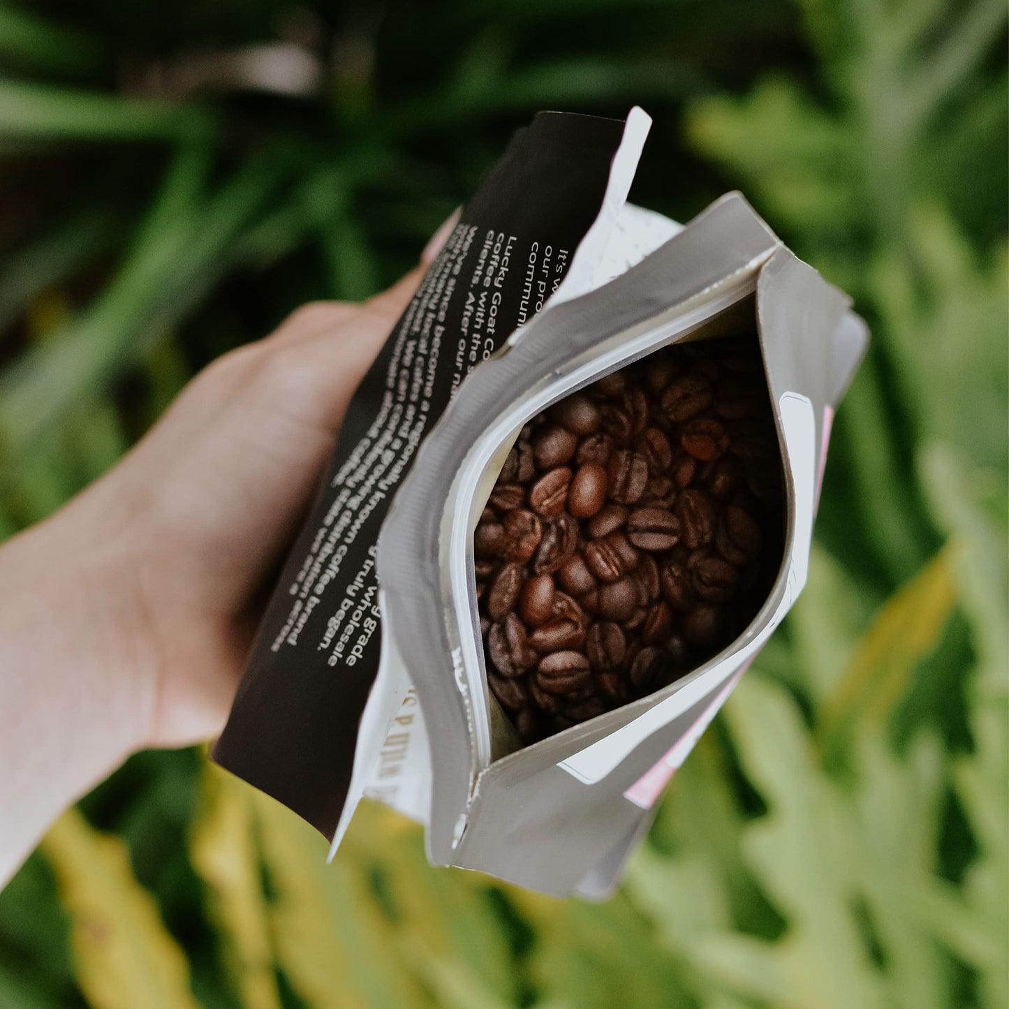 Lucky Goat Espresso Blend Whole Bean Coffee - Lucky 7 - Snappy, Spicy Body, Citric Acidity, Dark Chocolate, Complex - Medium Roa