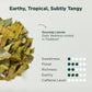 Tea Facto Soursop Tea Bags - Natural Guanabana Whole Leaves - 10 Pack - Body Renew Soursop 10