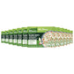 Knorr Rice Seasoning Mix, Authentic Flavor, 1.69 oz, Pack of 12, White