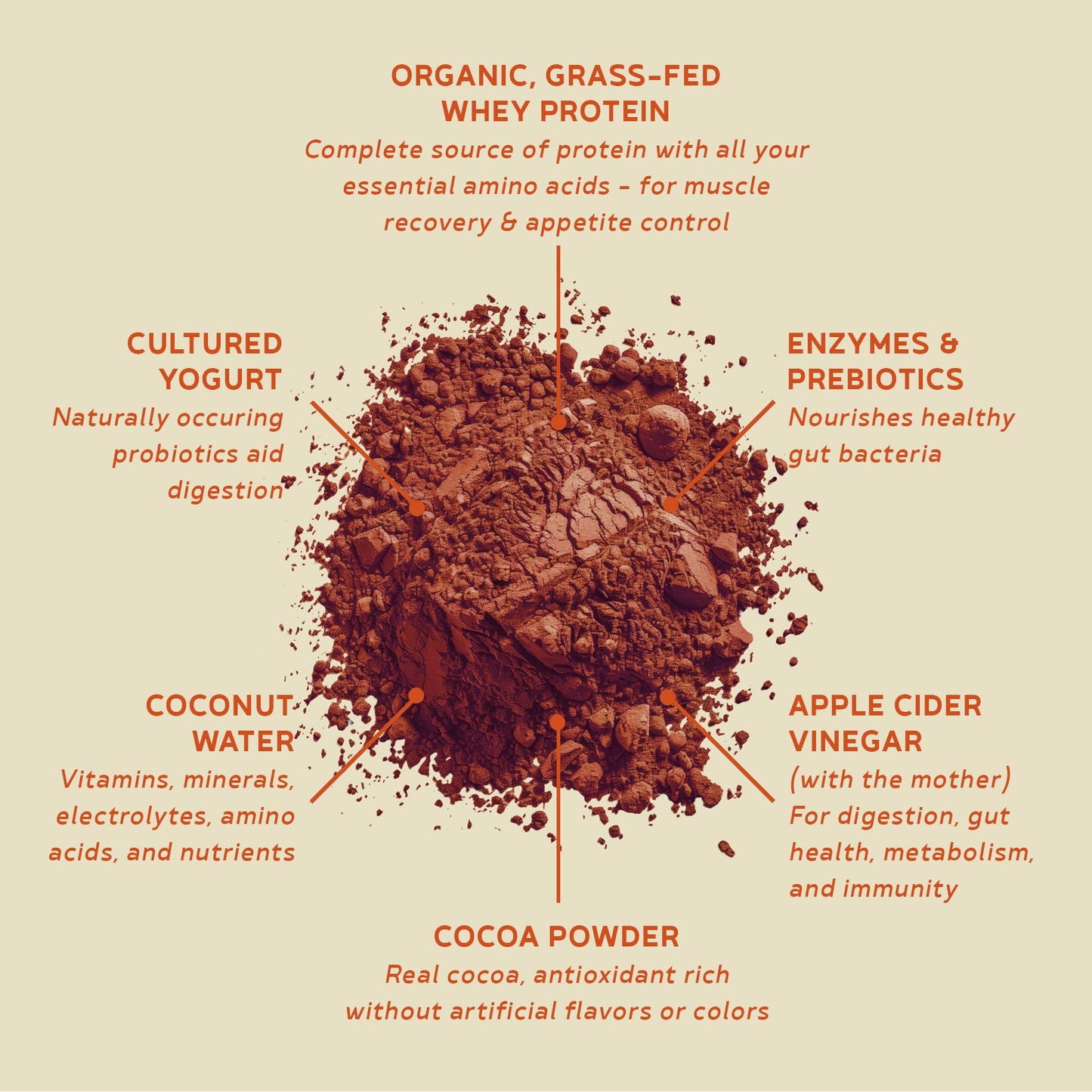 BBfL Grass-Fed Whey Protein Shake, 21g Protein, Cocoa + Apple Cider Vinegar, Prebiotics, 10 Servings