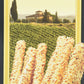 Alessi Sesame Breadsticks - 4.4 oz