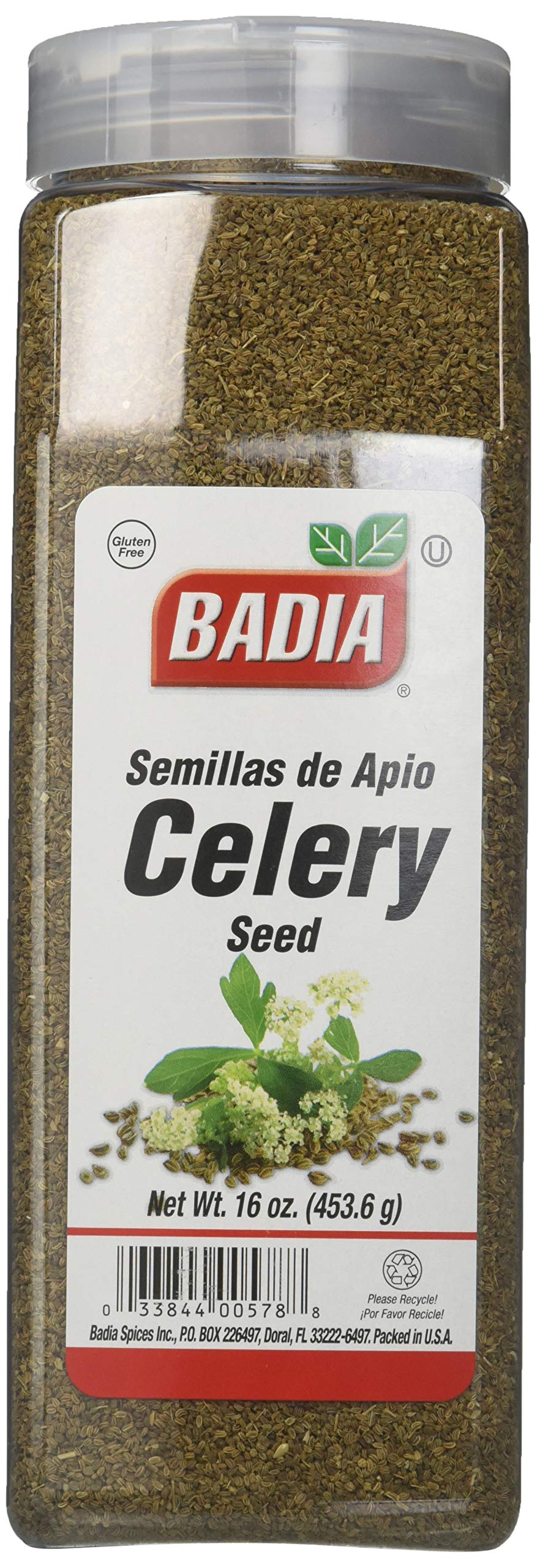 Badia Spices inc Seas  Celery Seed  Whole  16-Ounce (Pack of 6)