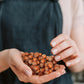 Anna And Sarah Large Oregon Hazelnuts In Shell, 5 Lbs