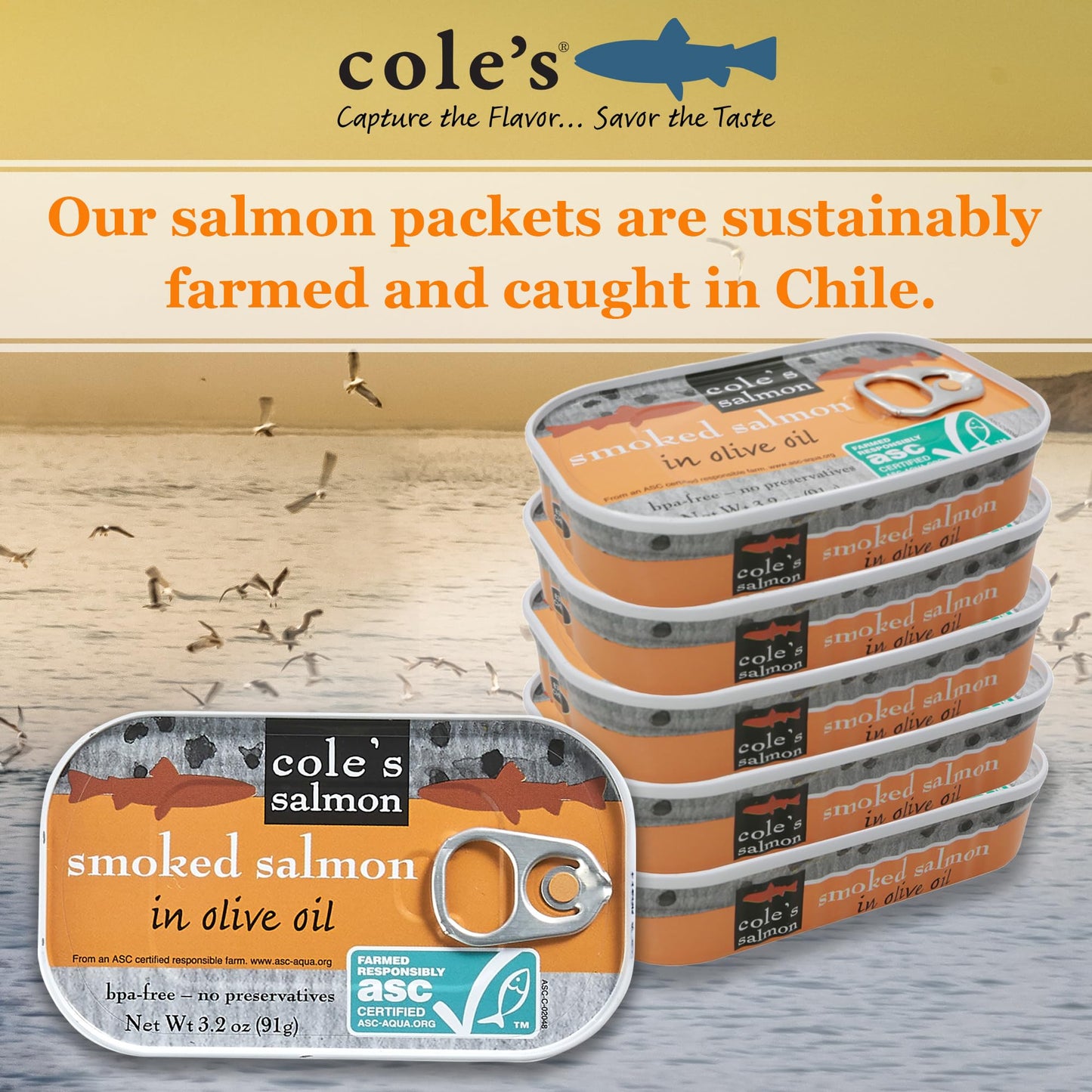 Coles Seafood Hand Packed Smoked Salmon, Preservative Free, High in Protein, 3.2 oz Can, Pack of 10
