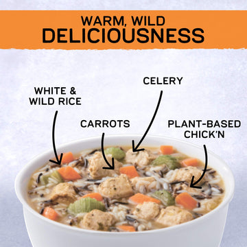 Gardein Plant-Based Chick'n & Rice Soup, Vegan, 15 oz.