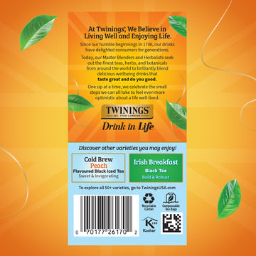 Twinings Mint Green Cold Brewed Iced Tea Bags, 20 Count (Pack of 1), Unsweetened Flavoured Green Tea, Caffeinated, 20 Teabags