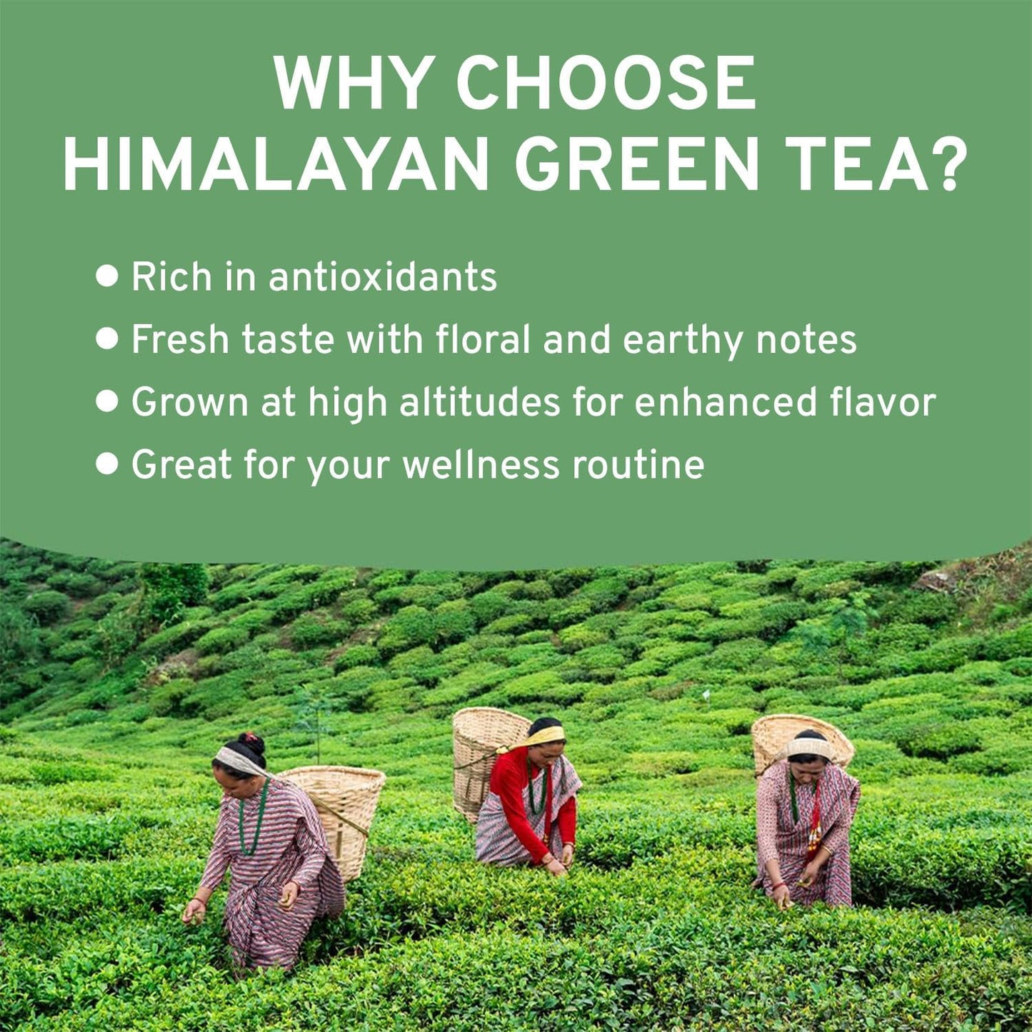 Vahdam, Himalayan Green Tea Leaves (50+ Cups, 3.53 Oz) Non Gmo, Gluten Free | High Elevation Grown Green Tea Leaves From Himalayas | Pure Unblended Single Origin Green Loose Leaf Tea | Vacuum Sealed