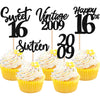 30PCS Happy 16th Birthday Cupcake Toppers Cheers to 16 Vintage 2009 Cupcake Picks Hello 16 Sixteen 16th Birthday Decorations for