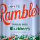 Autx Rambler Blackberry Sparkling Water, Limestone Mineral Blend, Three 8-Packs (24 Cans)