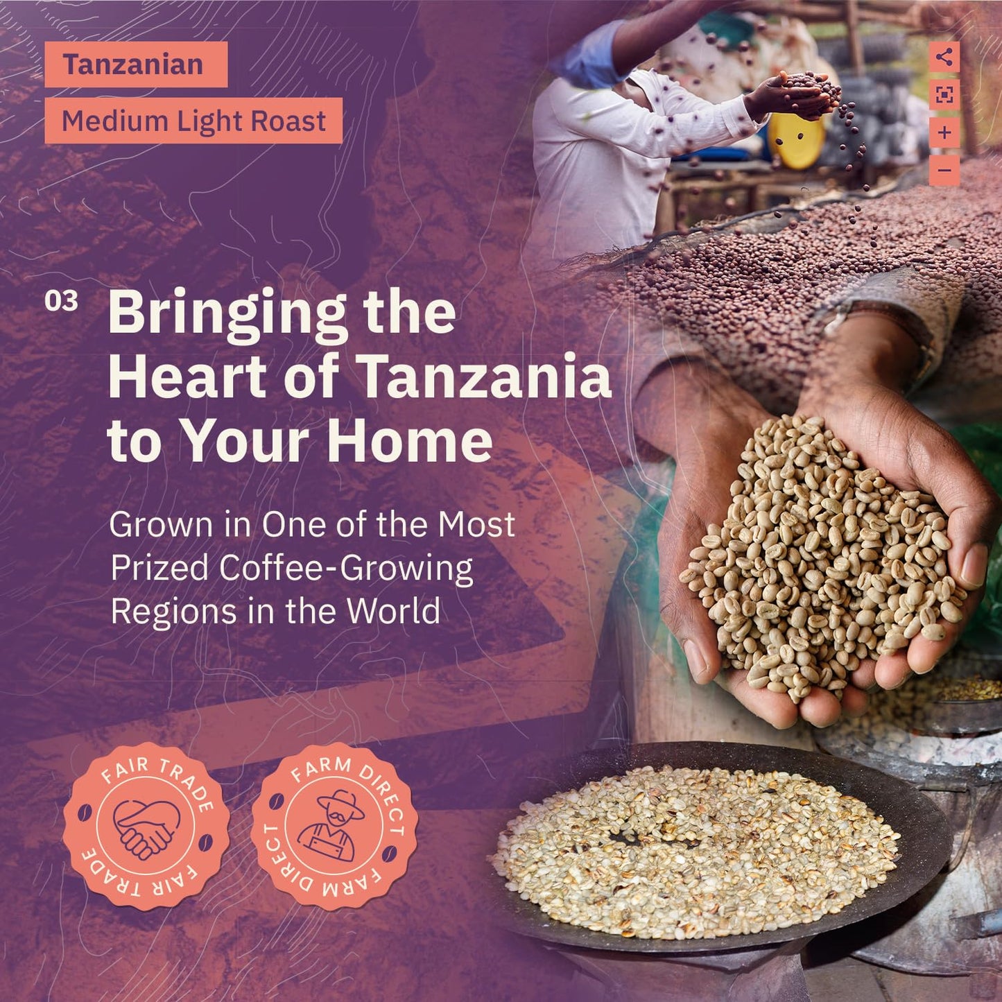 Kochere Tanzanian Peaberry Coffee Whole Bean - Medium Light Roast, 12 Ounce, Specialty Grade, Fair Trade, Non-GMO