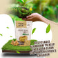 Tata Raw - Sprouted Organic Maple Walnuts -1 Lb