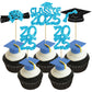 Ephlyn Graduation Cupcake Toppers, 36 Pcs, Glitter Class of 2025, Lake Blue, Diploma & Graduation Cap Picks for Party Decorations