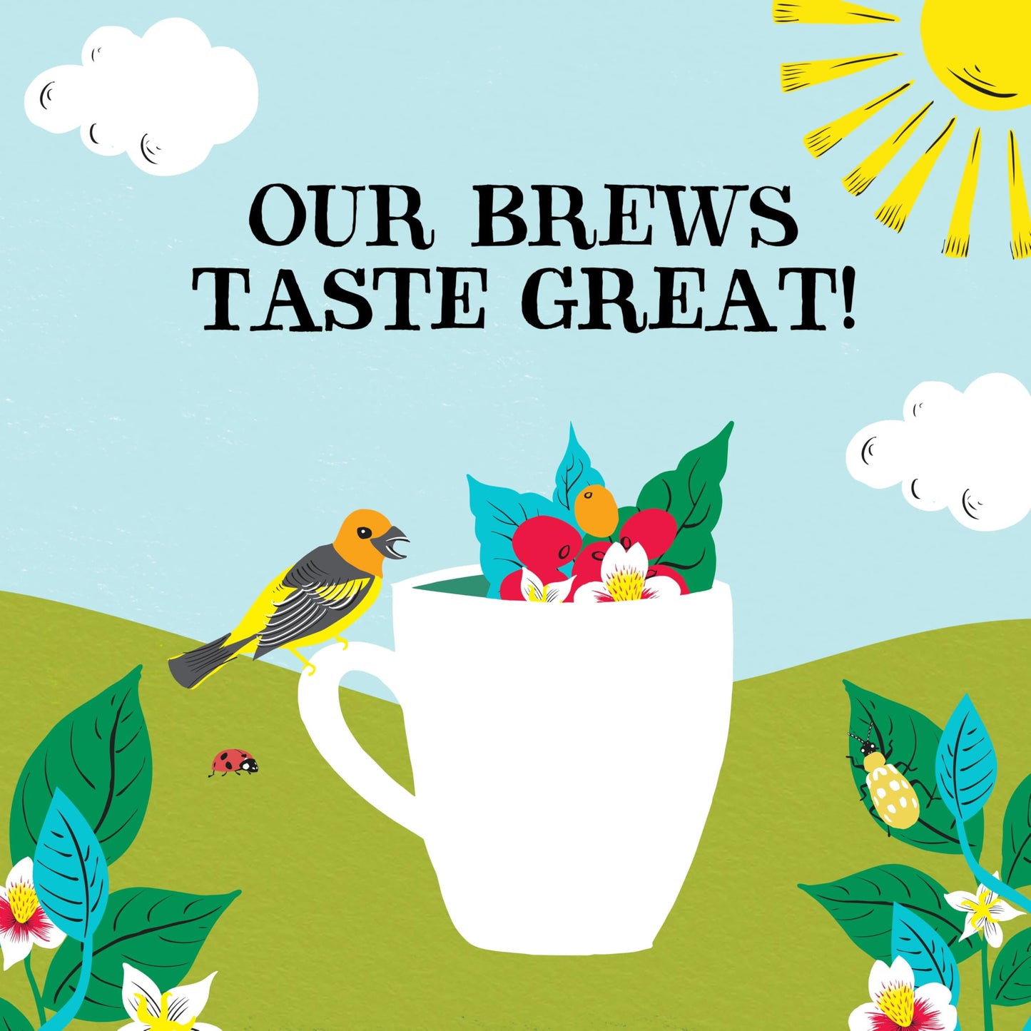 Clipper Coffee: Organic Latin American Decaf Instant Coffee - Medium Roast Coffee, Freeze Dried & Ethically Sourced - 6 Pack, 10