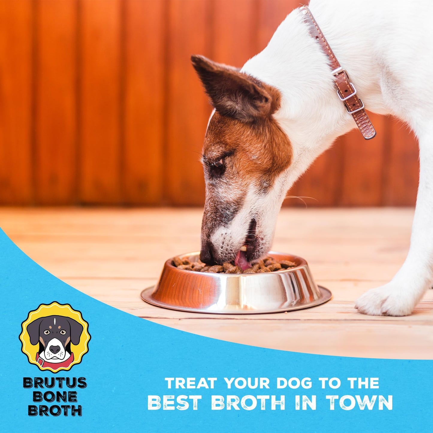 Brutus Bone Broth - All Natural Dog Bone Broth with Chondroitin & Turmeric - 64 Fl Oz
