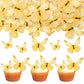 Gyufise 72Pcs Edible Cupcake Toppers - Wafer Paper Butterfly Cupcake Picks for Baby Shower & Kids Birthday Party Cake Supplies -