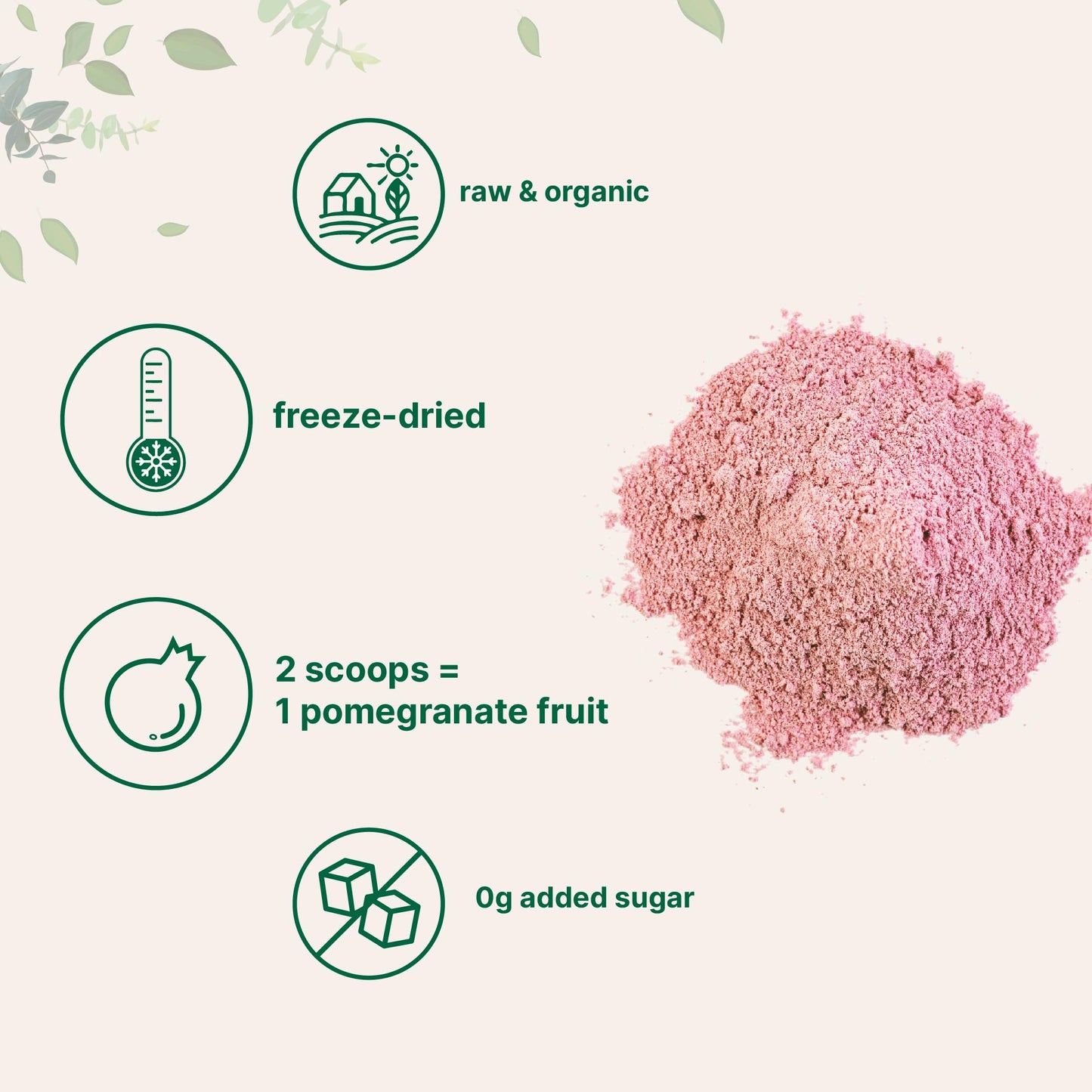 Organic Pomegranate Juice Powder, 1 Pound | 100% Natural Fruit Powder | Freeze Dried & Cold Pressed | No Sugar & Additives | Gre