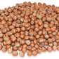 Anna And Sarah Large Oregon Hazelnuts In Shell, 5 Lbs