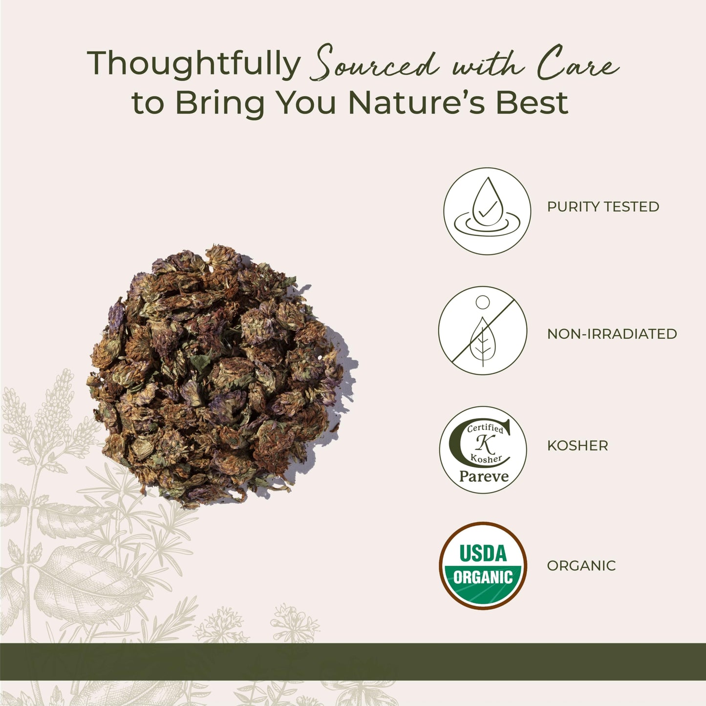 Starwest Botanicals Organic Red Clover Blossom Whole 1LB - 1 Pound (Pack of 1)