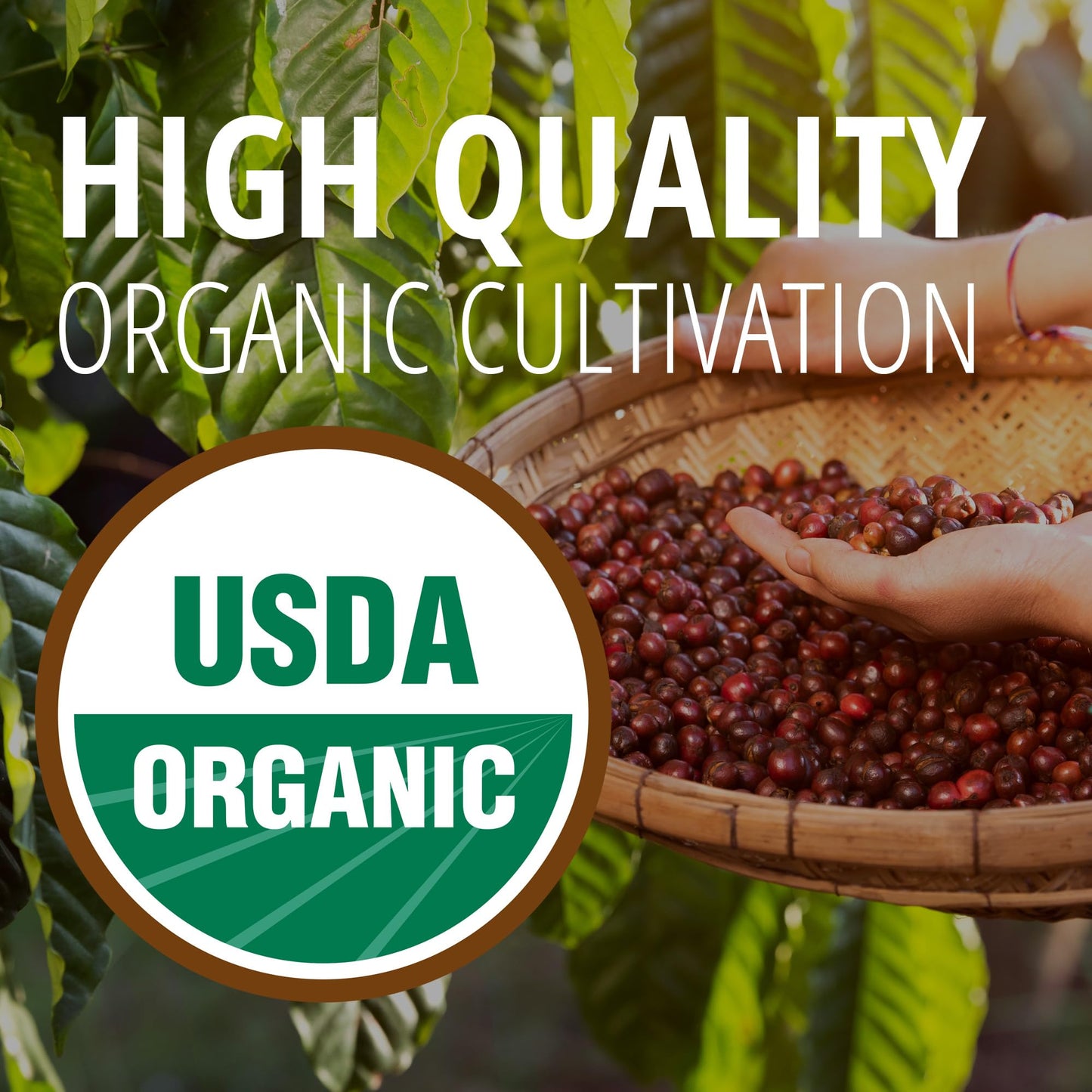 Gourmesso Espresso Pods Variety Pack, 50ct, Compatible with Originalline Machines, Fair Trade & Organic, Dark, Medium & Light Roast