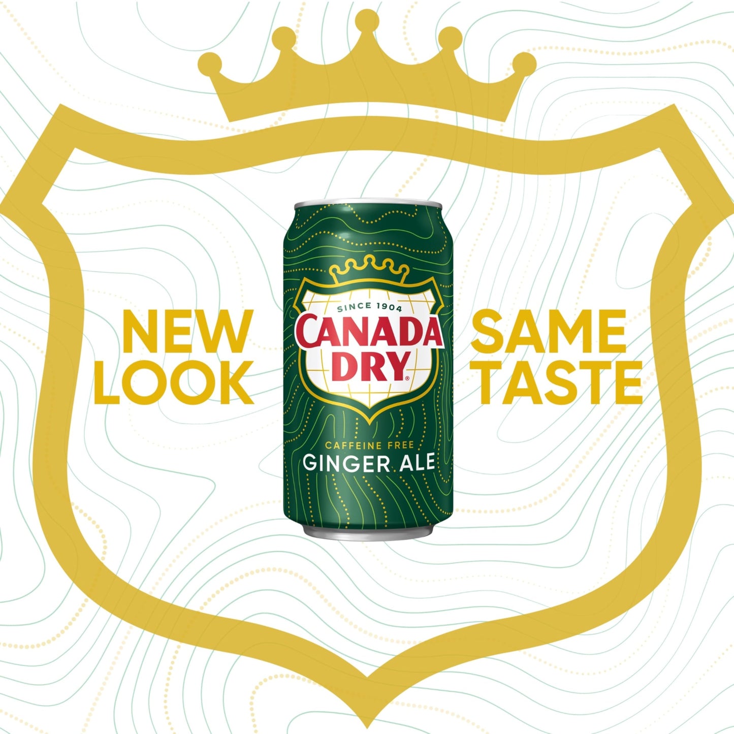 Canada Dry Ginger Ale Soda - 12 fl oz Cans, 12 Pack, Model 078000152166