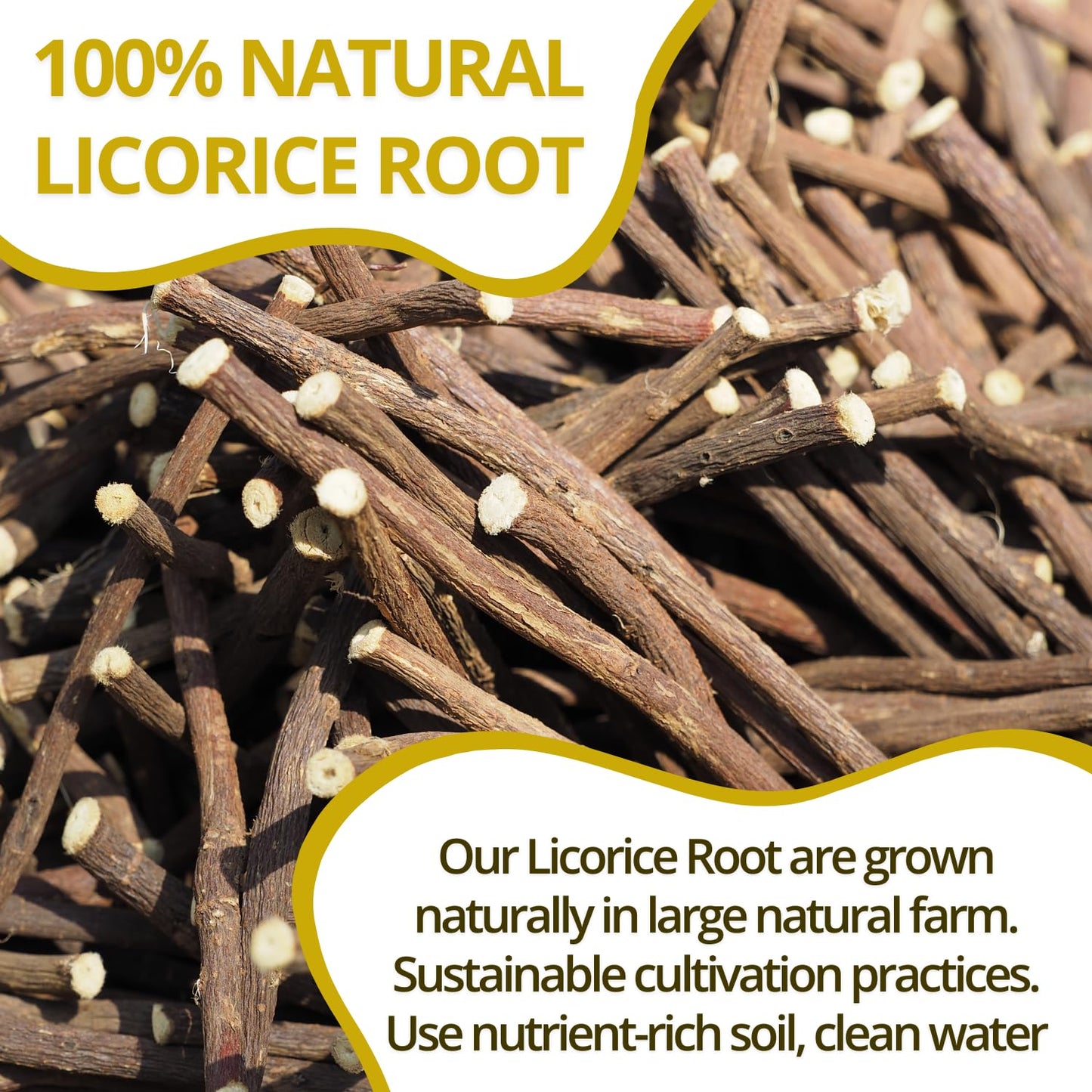 Vida Farm Enhanced 125 Licorice Root Tea Bags, Made With 100% Natural Licorice Root, Natural Sweet, No Sugar, No Caffeine, Non-Gmo