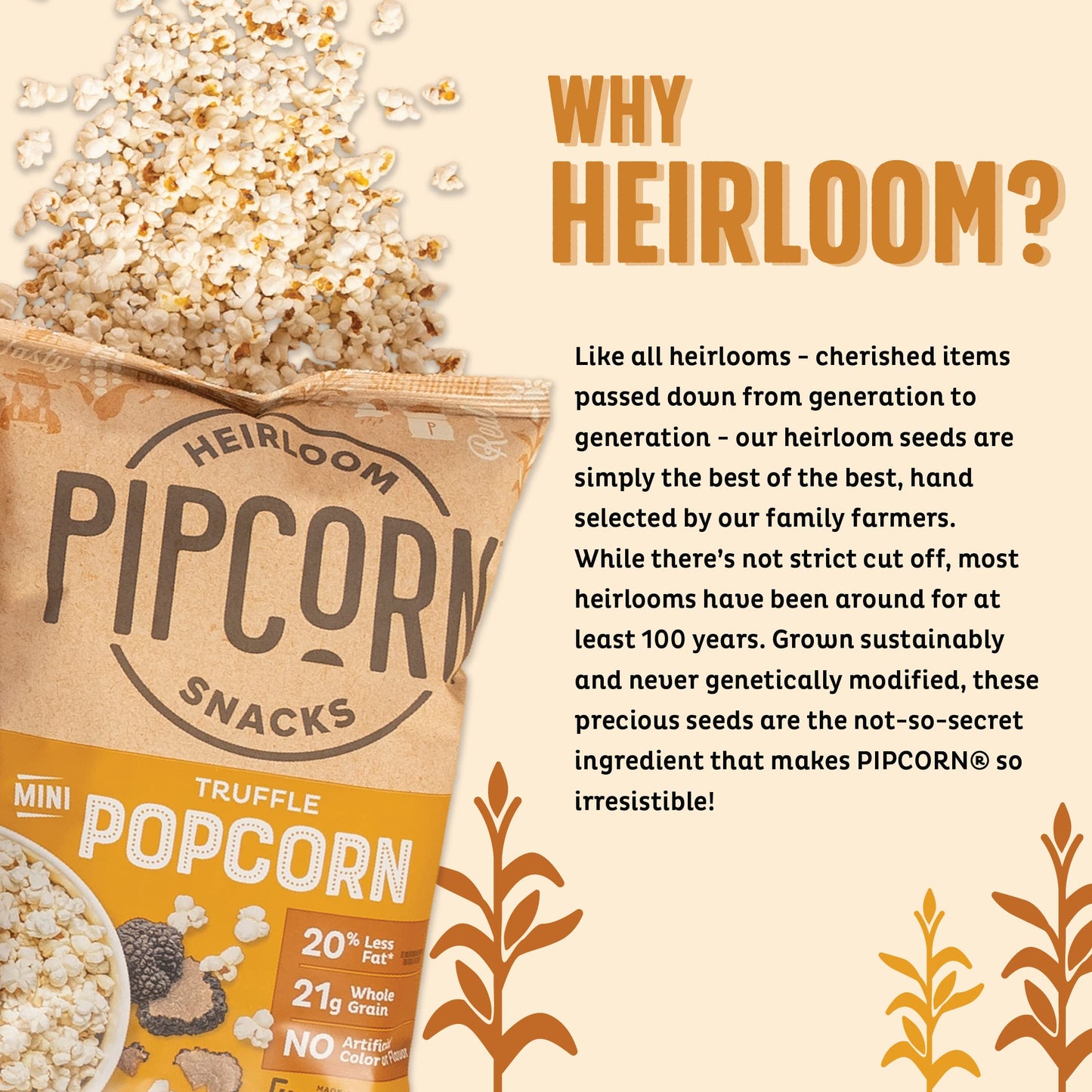 Heirloom Truffle Mini Popcorn By Pipcorn - 4.5Oz - Gluten Free Non-Gmo Heirloom Corn Non-Artificial Preservative Free Snacks